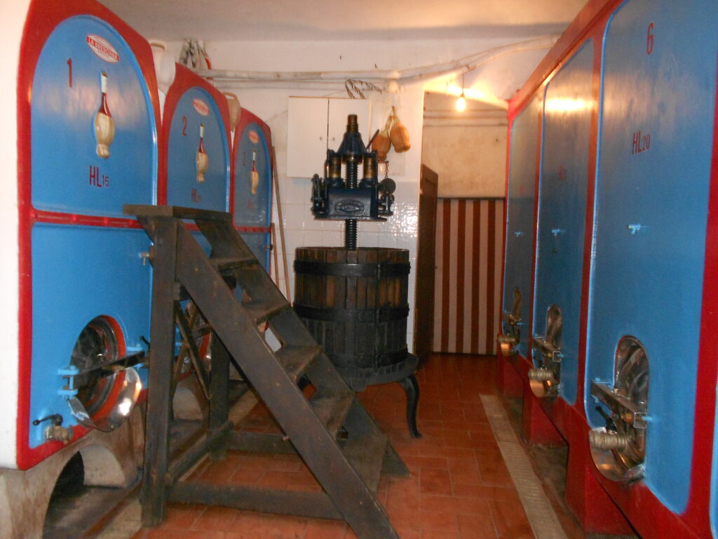 Le botti di cemento della cantina