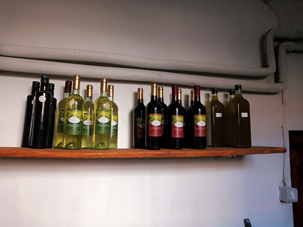 Le nostre bottiglie di vino
